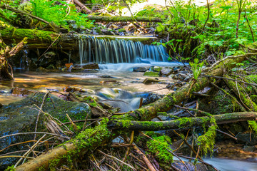 Small waterfall in the forest