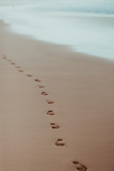 nature poster. sand beach and track of foot