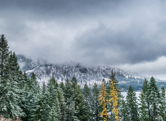 Fog over the mountain landscape