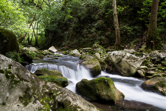 Jolk Images – Browse 98 Stock Photos, Vectors, and Video | Adobe Stock