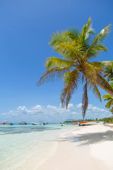 Resort on a white beach and tall palm trees. Beautiful white sandy beach of a luxury resort