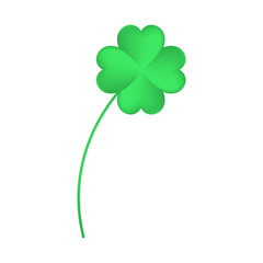 clover on white background