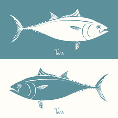 Hand Drawn Illustration of a Tuna, Thunnus, positive and negative