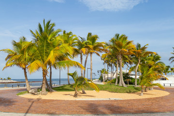 Fototapeta na wymiar Park on the tropical resort
