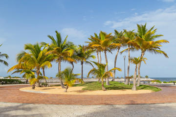 Fototapeta na wymiar Park on the tropical resort