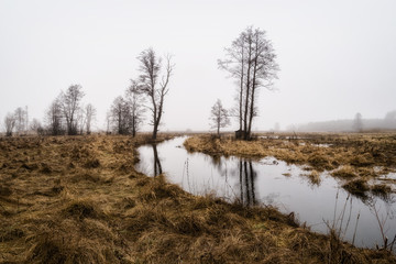  Mglisty i odwilżowy dzień nad Narwią, Podlasie, Polska