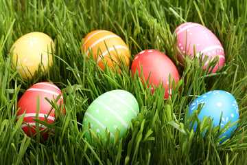 Colorful easter eggs in green grass