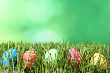 Colorful easter eggs in green grass
