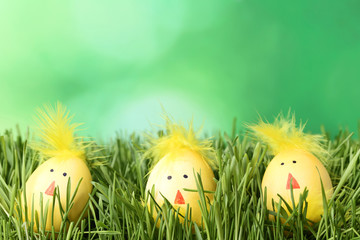 Yellow eggs with funny chicken faces in green grass
