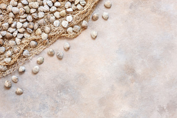 Fresh raw Surf clam chamelea gallina and  fishnet. Top view, close up on sand concrete background