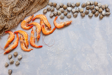 Fresh raw Surf clam chamelea gallina, shrimps and  fishnet. Top view, close up on sand concrete background