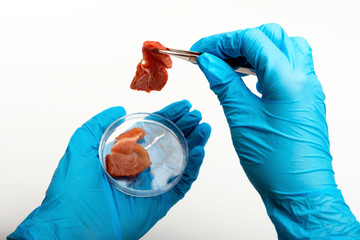 Meat sample in test tube. Comparison of organic and synthetic meat, lab meat or quality inspection...