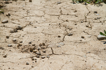 Trockenheit Dürre