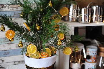 Small Christmas tree juniper in a pot. Decorated with tiny golden balls, dehydrated slices of citrus and light garland