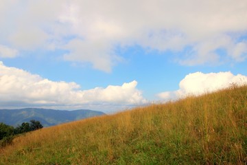 Fototapeta premium mountain meadow and blue sky