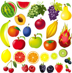 FRUIT Illustration Big Collection Mix - Vector