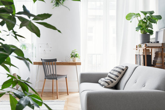 Modern scandinavian living room with design furniture, grey sofa, plants, bamboo bookstand and wooden desk. Brown wooden parquet. Nice apartment. Stylish decor. Bright and sunny side of home space.