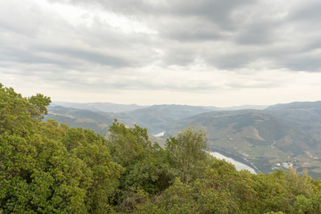 Fototapeta na wymiar Miradouro de Sao Leonardo de Galafura. Rio Douro