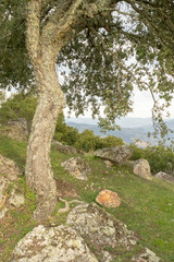 Miradouro de Sao Leonardo de Galafura.  Rio Douro