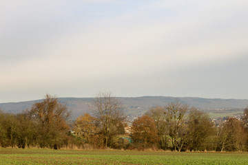 Natur Herbst Waldlandschaft