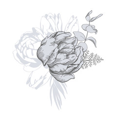 Black and white vector line sketch illustration, bouquet of tulip and peony.