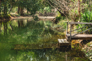 Fototapeta na wymiar shot of green swamp and old wood waterfront stair. .Thai architecture in Vintage age.