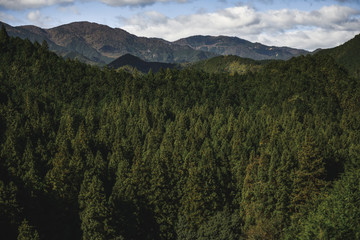 View of Japan Jungle in Summer Season, Rural or Non-urban scene In a midday with mountain and cloudy sky.