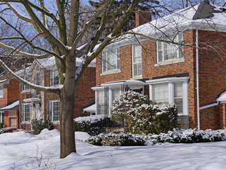 snow covered suburban houses on a treelined street