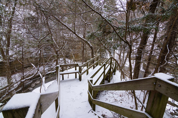 Trail through the Dells