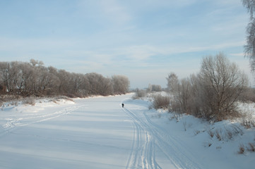 Fototapeta na wymiar winter landscape with lake and trees