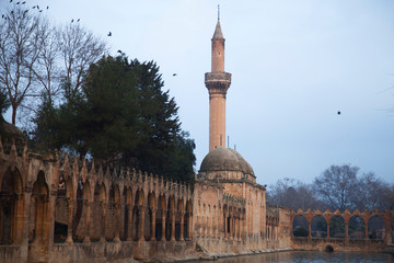 Fish Lake (Balikli Gol) İbrahim's pool - Sanliurfa, Turkey