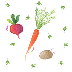 watercolor set with vegetables. harvest of fresh vegetables and greens. healthy food. vegan food collection. isolated elements on a white background