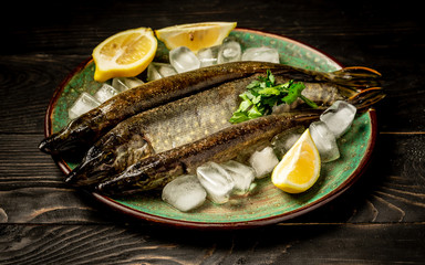 Freshwater Northern pike fish known as Esox Lucius on vintage wooden background. Fishing concept, good catch. Flat lay