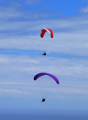 paraglider flyng the sky