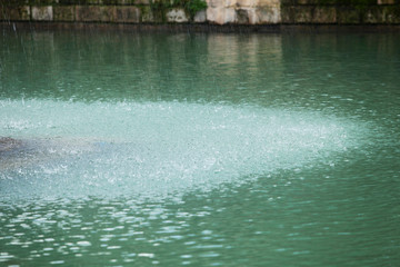 Fish Lake (Balikli Gol) İbrahim's pool - Sanliurfa, Turkey © bulentumut