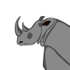rhino head,  vector illustration, flat style,