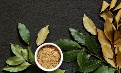 bay leaves fresh and dry on a black background. types of conservation of laurel, copy space. place for text. top view. spicy herbs background. harvesting herbs