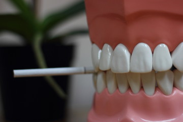 Thin cigarette in his mouth dummy - do not smoke, Smoking is the cause of diseases of the teeth and oral cavity