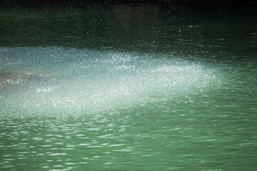 Fish Lake (Balikli Gol) İbrahim's pool - Sanliurfa, Turkey © bulentumut