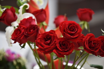 Colorful flowers and green leaves in nature.Colorful flowers in nature. flowers in the garden Blooming in the Formal Garden. Park. Beautiful Garden