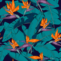 flowers and leaves strelitzia, seamless vector pattern with tropical plants