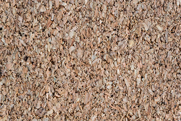 brown cork texture useful as a background 