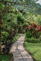 Path in the garden at summer day