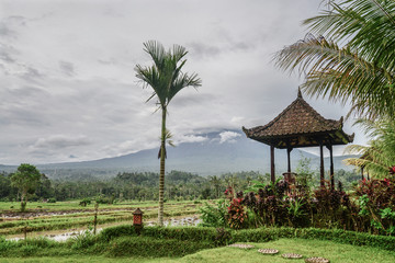 Gazebo with table and chairs by the rice fields