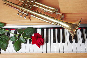 Trumpet, rose and piano keyboard.