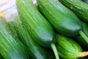 fresh cucumbers on display at market