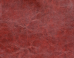 Fototapeta premium Leather. Artificial leather. Textured surface of artificial or natural leather. Close up view.