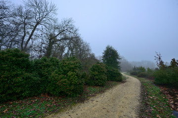 path and lonely dirt road on a morning with intense fog and cold leaves the Botanical Garden of Ol‡rizu, Vitoria-Gasteiz (Alava) Basque Country, Spain