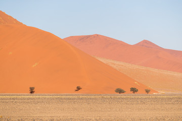 African landscape, beautiful red sand dunes and nature of Namib desert, Sossusvlei, Namibia, South Africa