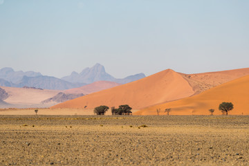 African landscape, beautiful red sand dunes and nature of Namib desert, Sossusvlei, Namibia, South Africa